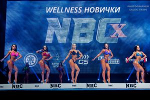 WELLNESS НОВИЧКИ